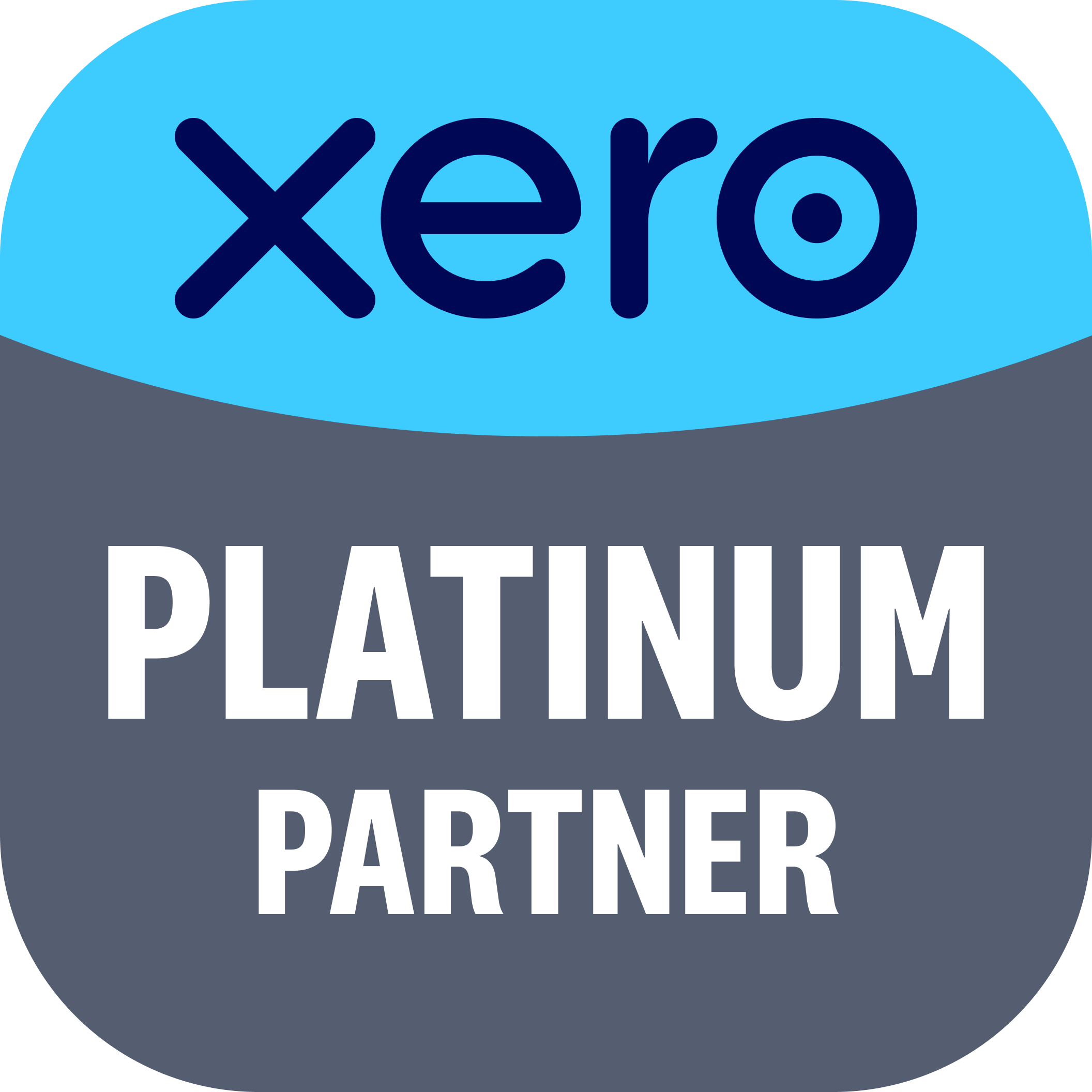 Xero Platinum Partner logo